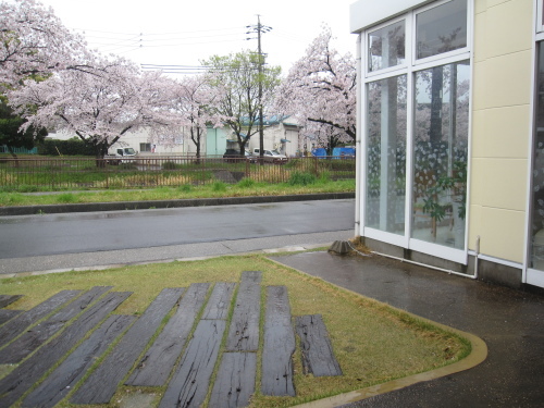 花見がてらのテラスモーニングは雨・・・_f0245650_12085909.jpg