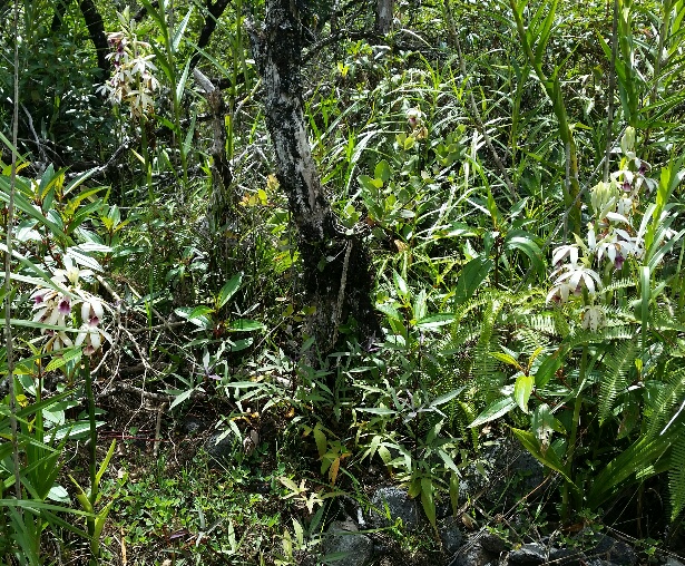 b0126453_555415.jpg