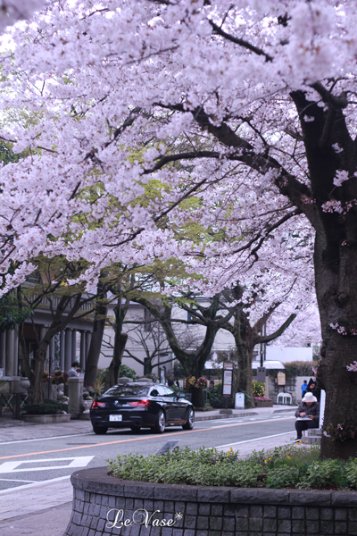 お花見_e0158653_0512233.jpg