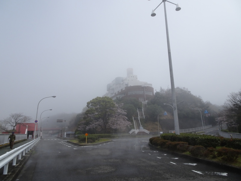 霧のせんなん里海公園へ行く_c0108460_21481812.jpg