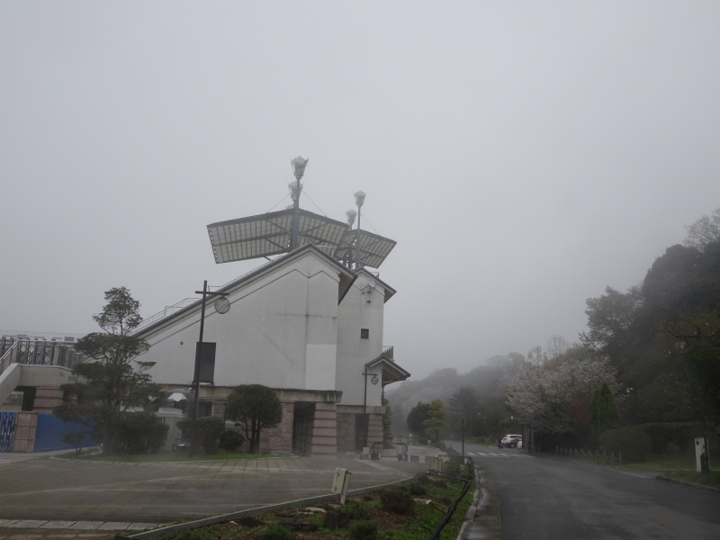 霧のせんなん里海公園へ行く_c0108460_21482844.jpg