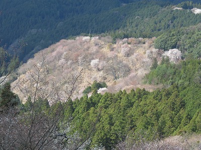b0096463_11135276.jpg