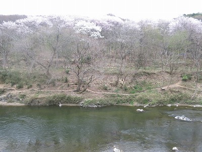 b0096463_1116082.jpg