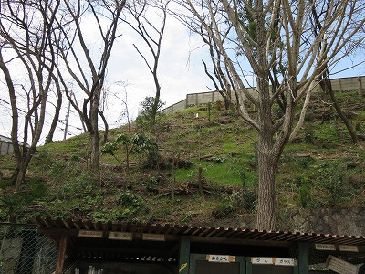 b0096463_9391134.jpg