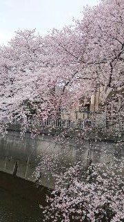 f0256164_1118219.jpg