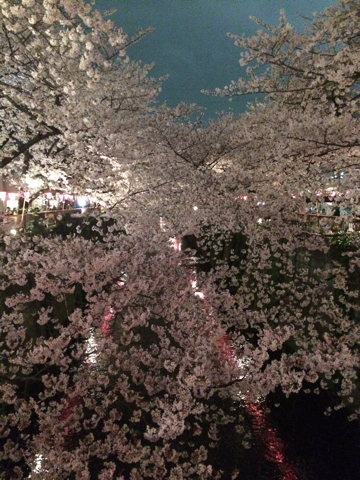 c0102268_23255528.jpg