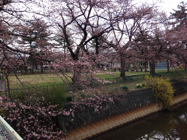 c0247768_7561387.jpg