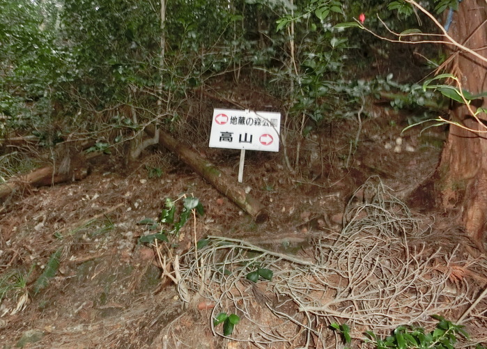 b0185573_1733047.jpg