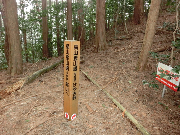 b0185573_1746659.jpg