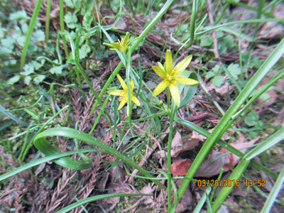f0140773_16124379.gif