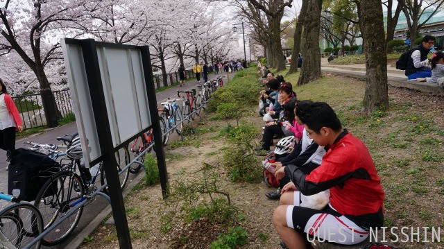 2016.04.03「山崎川花見ライド」_c0197974_327258.jpg