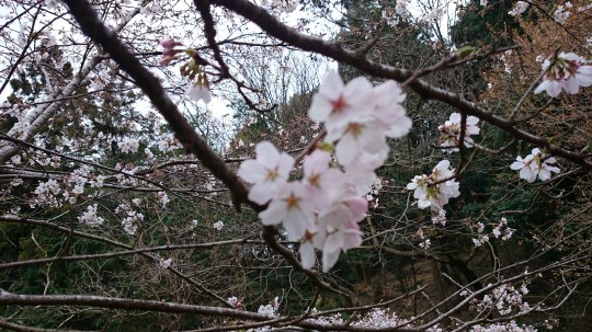 b0224776_10523660.jpeg