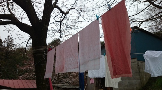 b0224776_11083899.jpeg