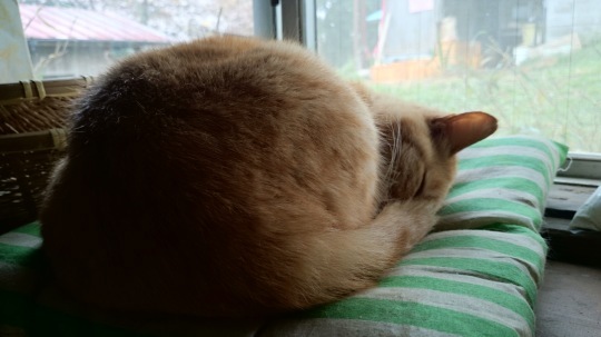 b0224776_11100063.jpeg