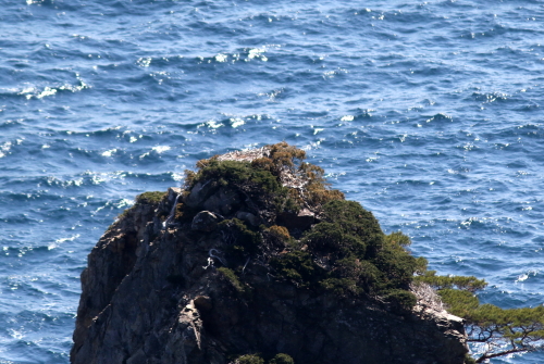 d0262476_4434675.jpg