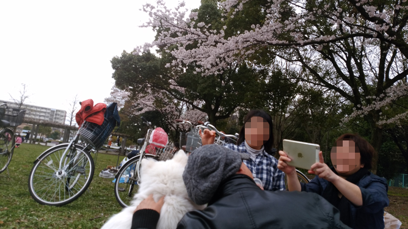 c0064678_12513482.jpg