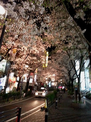 c0189683_1513447.jpg