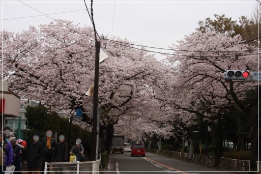 b0207284_0154254.jpg