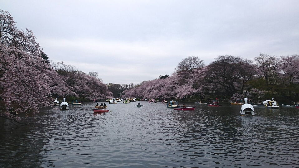 b0207284_093020.jpg