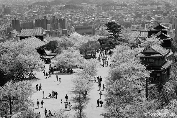 松山にて FujiiTomohiro Photography Diary