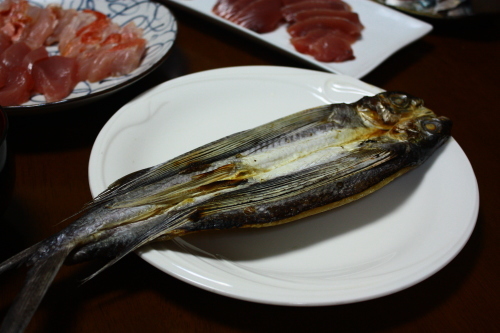 いろんな魚_c0204385_17135605.jpg
