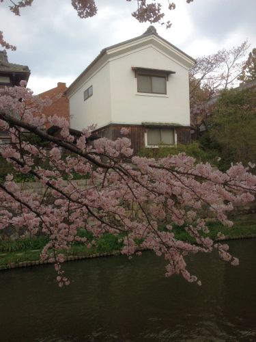 近江八幡へ行きました（4月3日）_d0021786_1036740.jpg