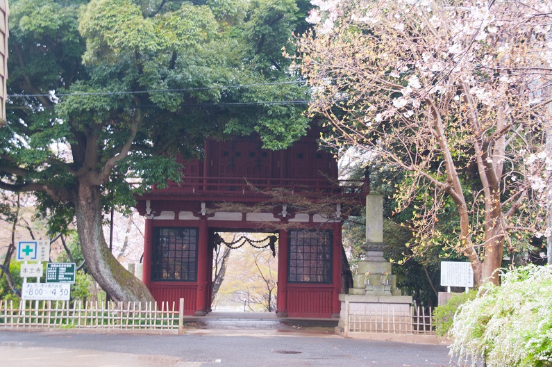  本土寺　松戸_c0228194_1091091.jpg