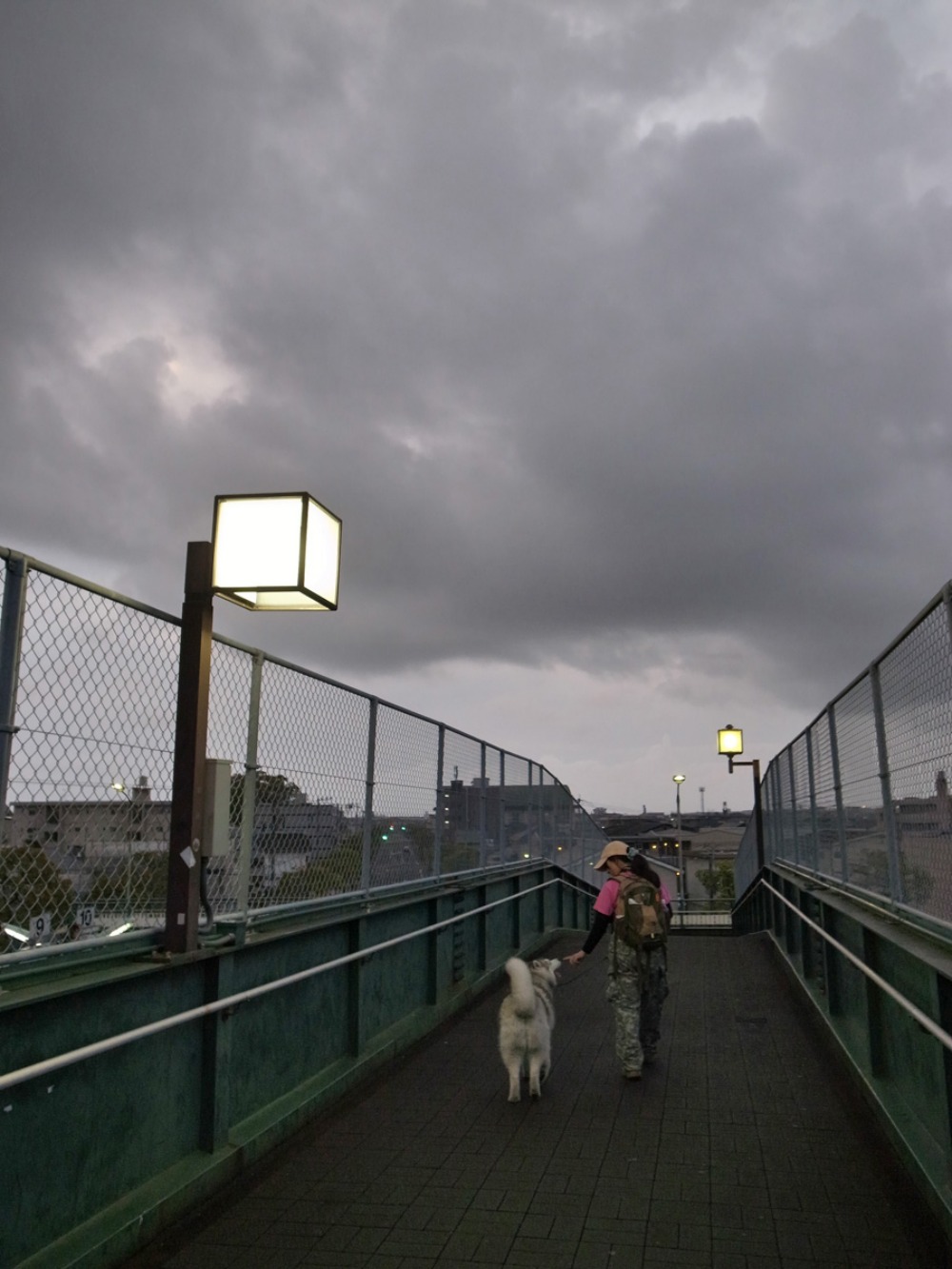 c0049299_2217765.jpg