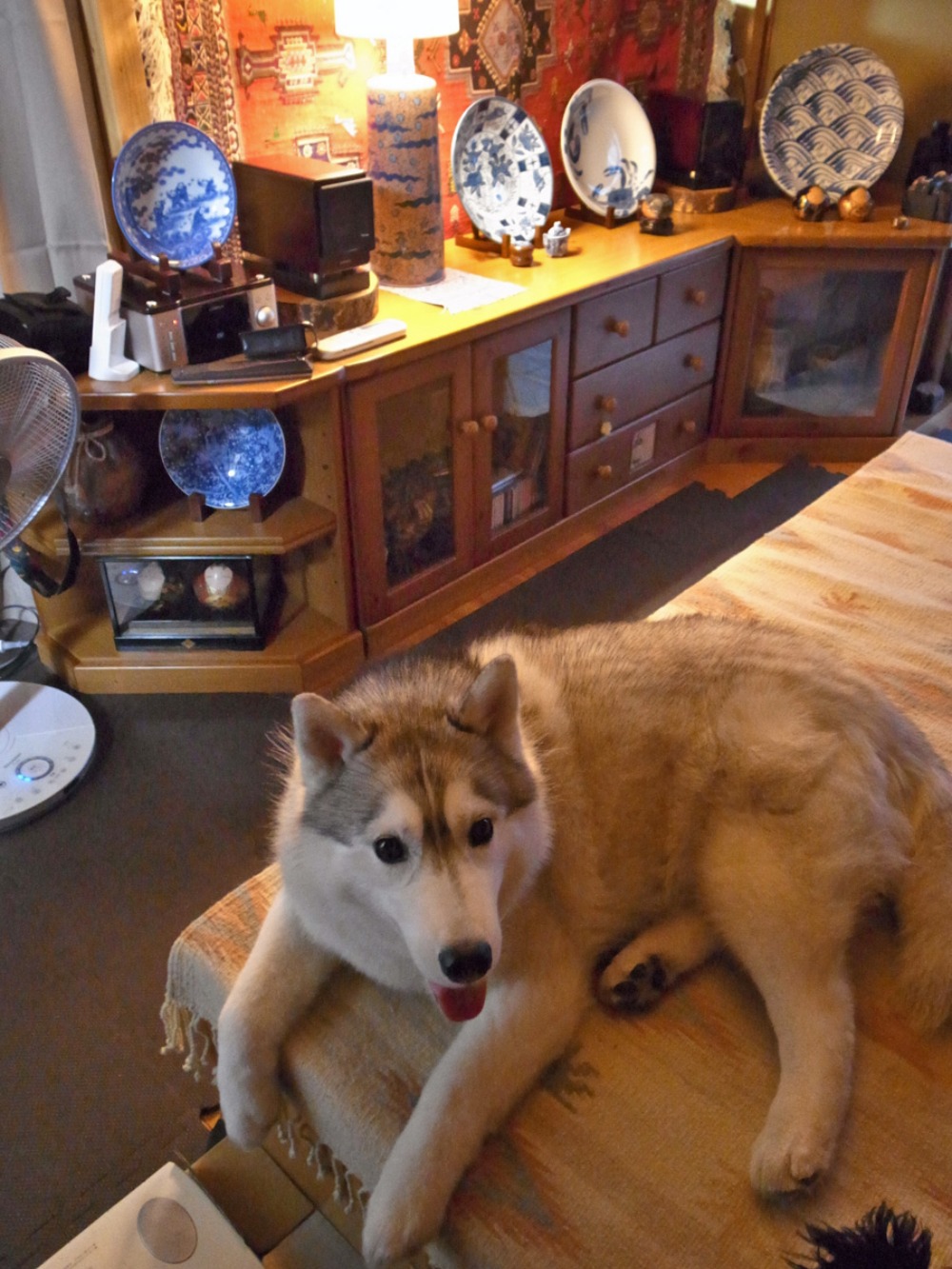 c0049299_2234156.jpg