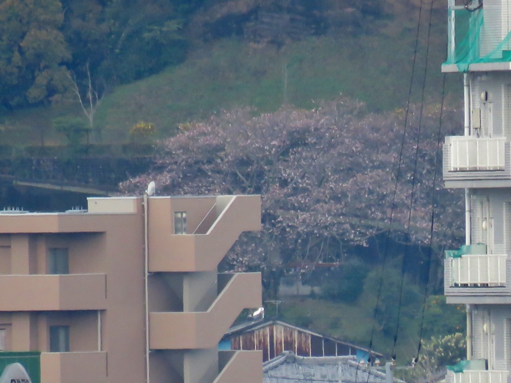 c0049299_22383133.jpg