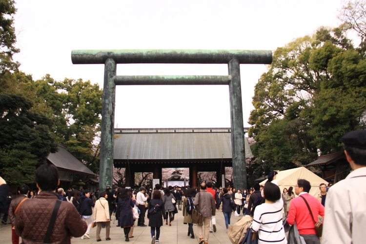 靖国神社の桜_d0248502_23051168.jpg