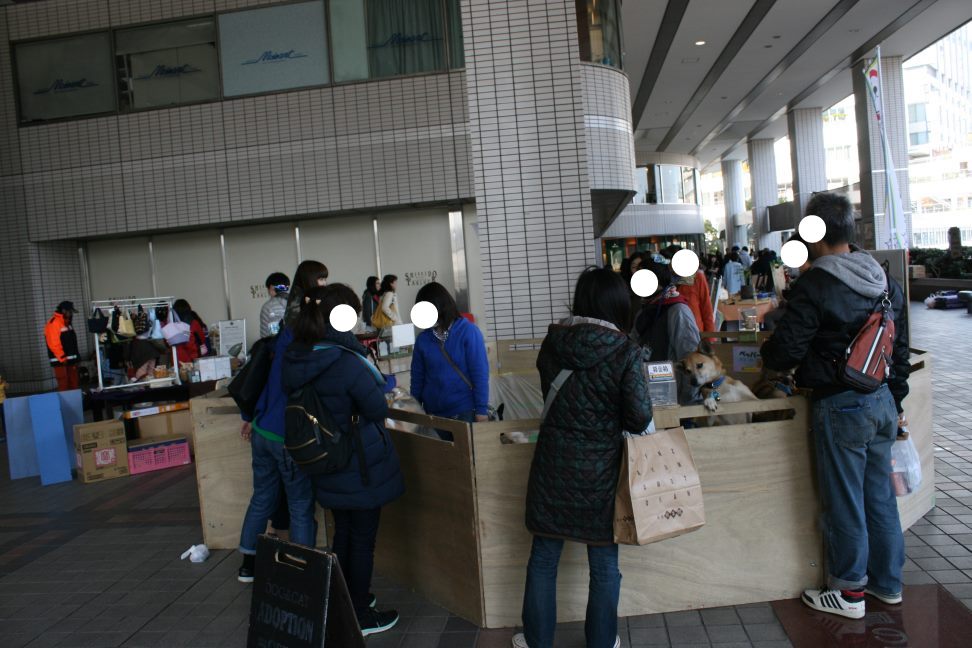 3/27 D&Dさん里親会_f0242002_0225570.jpg