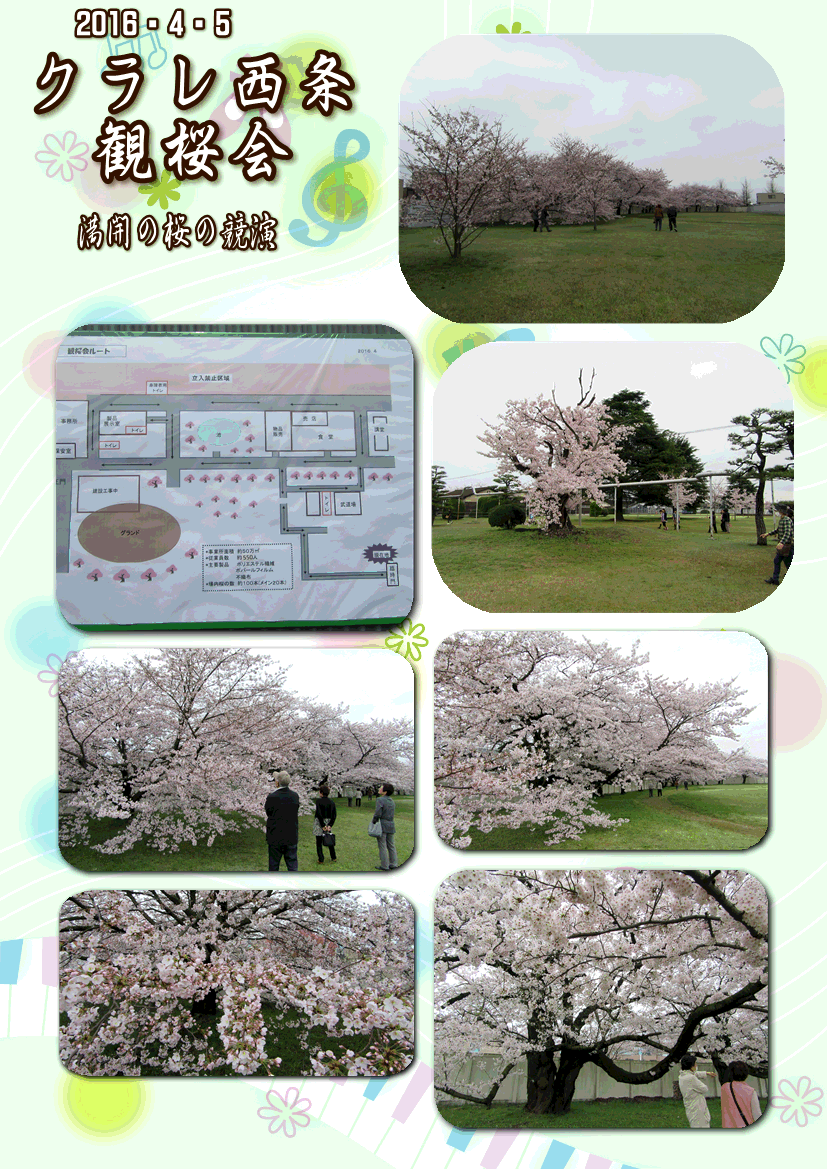 （株）クラレ西条、2016年満開の観桜会…2016/4/5_f0231709_1541422.gif