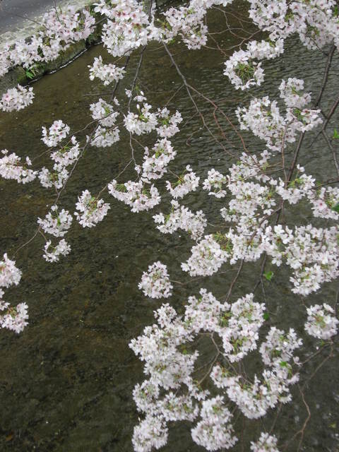 c0062511_20271126.jpg