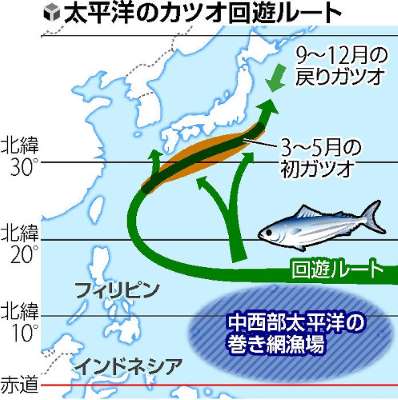 今季もカツオ漁「さっぱり」…アジア諸国乱獲か _b0064113_16453923.jpg