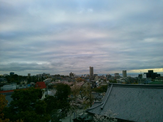 a0114314_841923.jpg