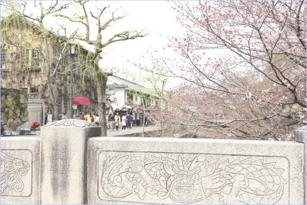 「とりあえずの...」冷蔵庫整理 Before画像編_f0354014_14551251.jpg