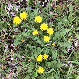 d0263815_18222251.gif