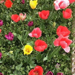 d0263815_18224021.gif