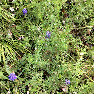 d0263815_1822588.gif
