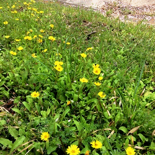 d0263815_1828246.gif