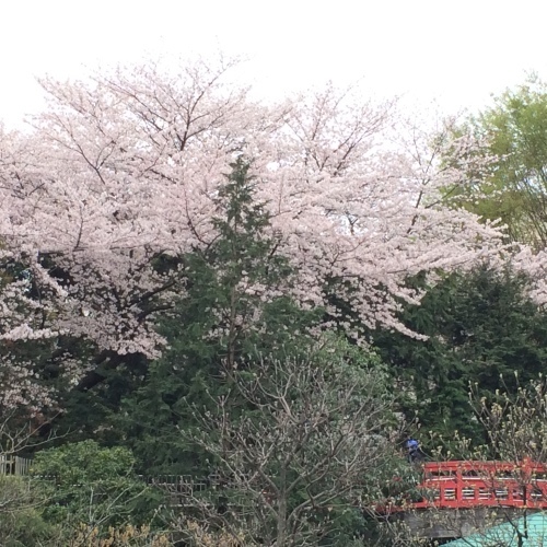 c0131818_11413640.jpeg