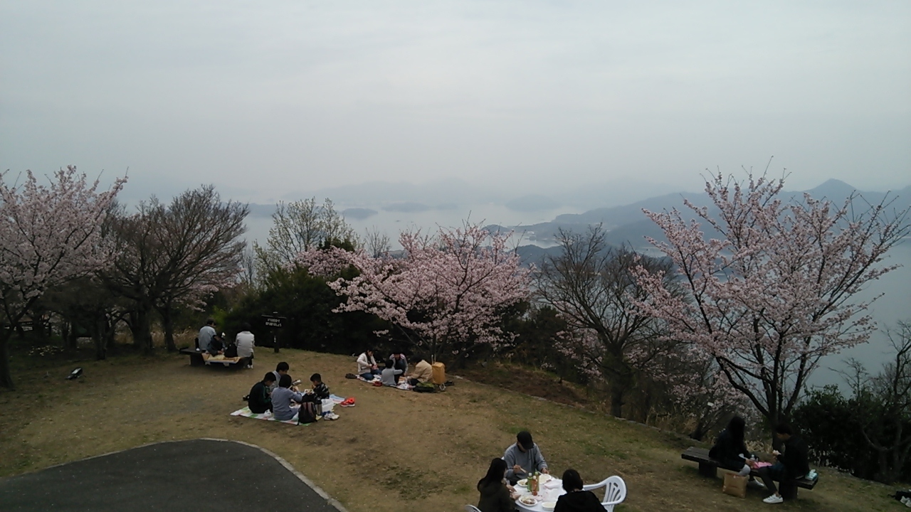 桜、桜、爛漫！！！_c0339918_10411440.jpg
