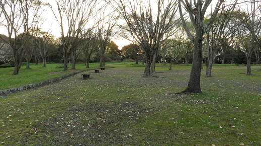 c0097620_21292347.jpg