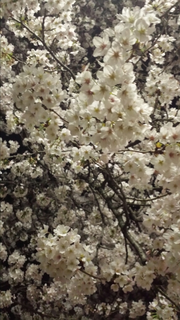 c0143523_17284911.jpg