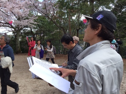 宮島さくら・もみじの会 開花状況調査_f0229523_1712729.jpg