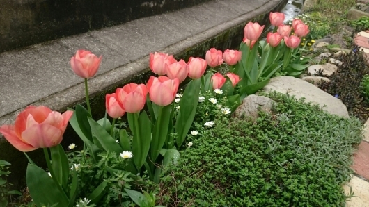 e0263224_23325202.jpg