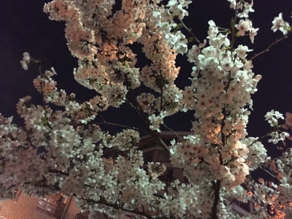 b0164428_14014555.jpeg