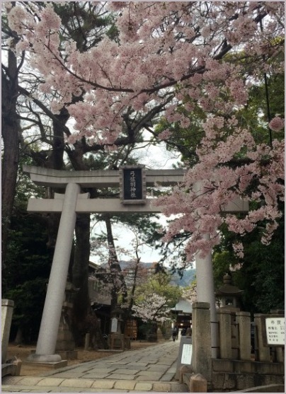 弓弦羽神社でお花見_d0017632_23485615.jpeg