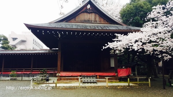 お花見＊北の丸公園〜千鳥ヶ淵・靖国神社_d0269832_07430592.jpeg